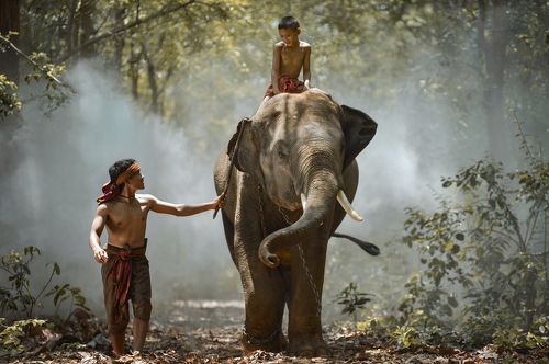 My brother and elephant