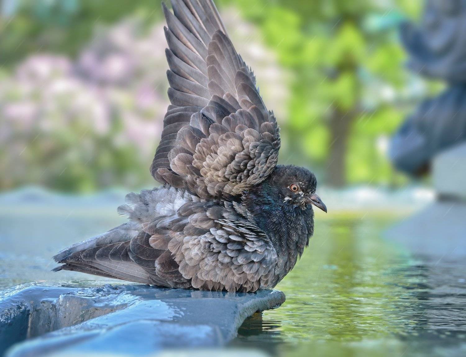 , Олег Богданов