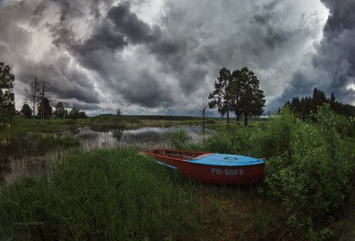 Перед грозой