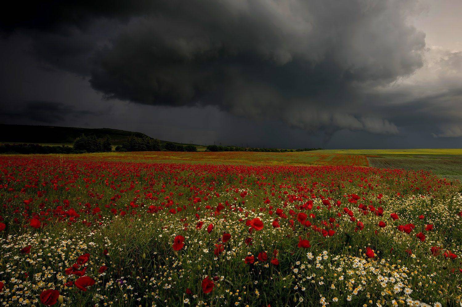 , Сергей Златков
