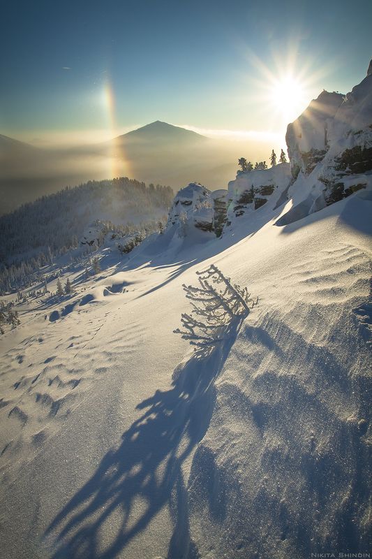 гало и тени фото превью