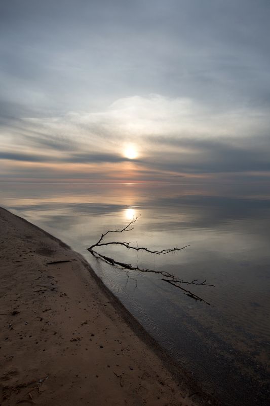 ............. фото превью