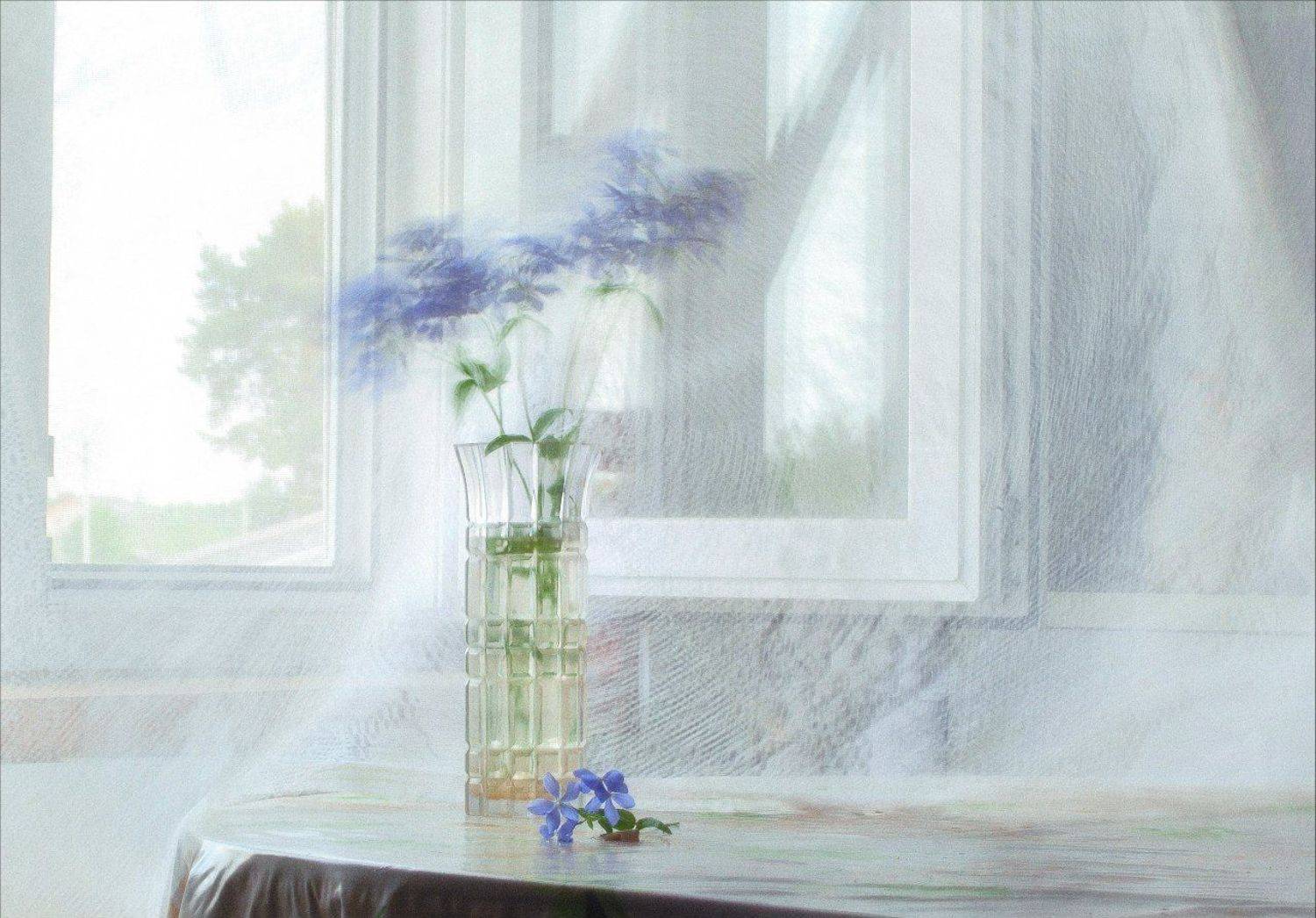 Цветы лето, Матвеева Люба