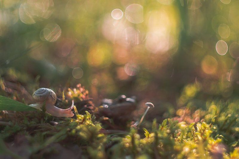 Прохожий фото превью