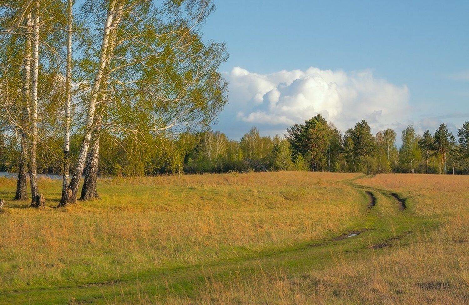 , Николай Морский