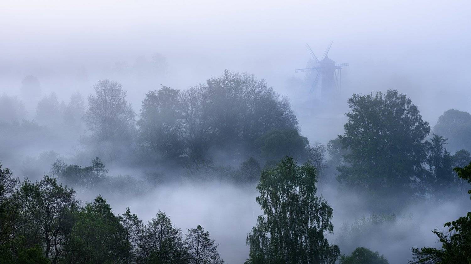 истра, река, туман, мельница, пейзаж, Ольга Демиденко
