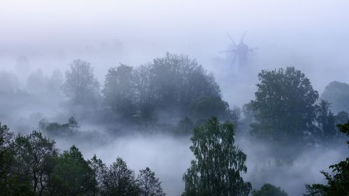 Туман и мельница