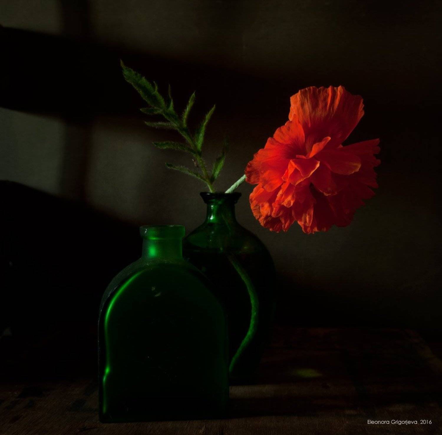 зелёный, красный мак, натюрмлрт, стекло, Eleonora Grigorjeva