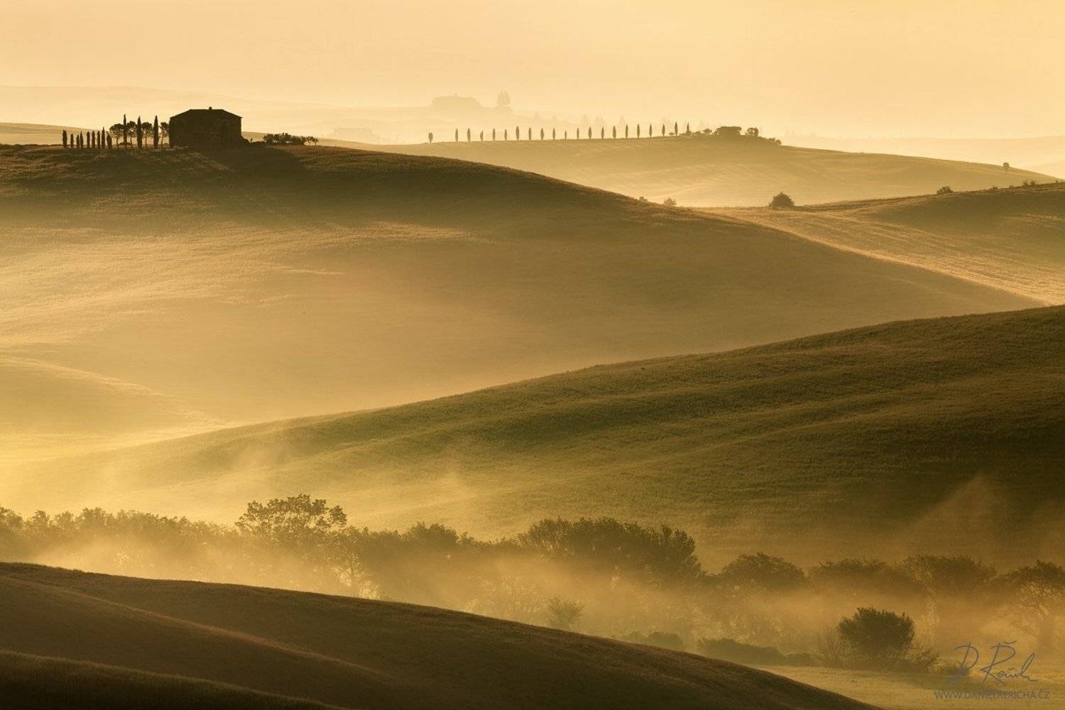 italy, tuscan, tuscan, san quirico d&acute;orcia, pienza, spring, morning, sunlight, mist, fog, clouds, meadow, field, spring meadow,cypress, grove, sun, daniel rericha,, Daniel Rericha