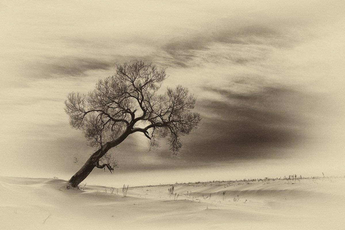 , Валерий Кондратов