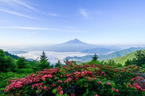 Spring of mountain