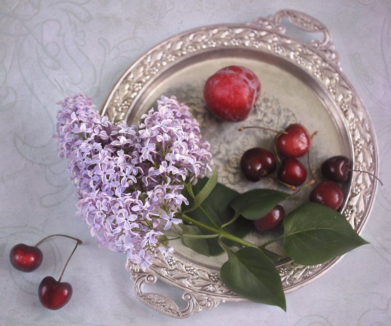 С сиренью фото превью