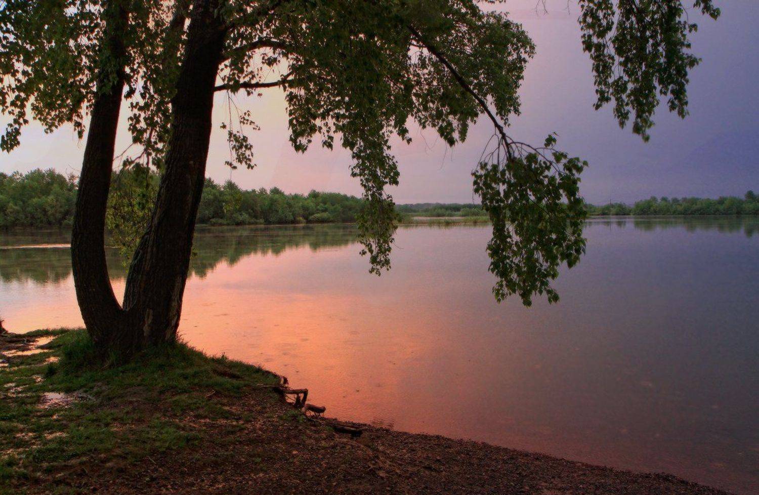 , Галина Хвостенко