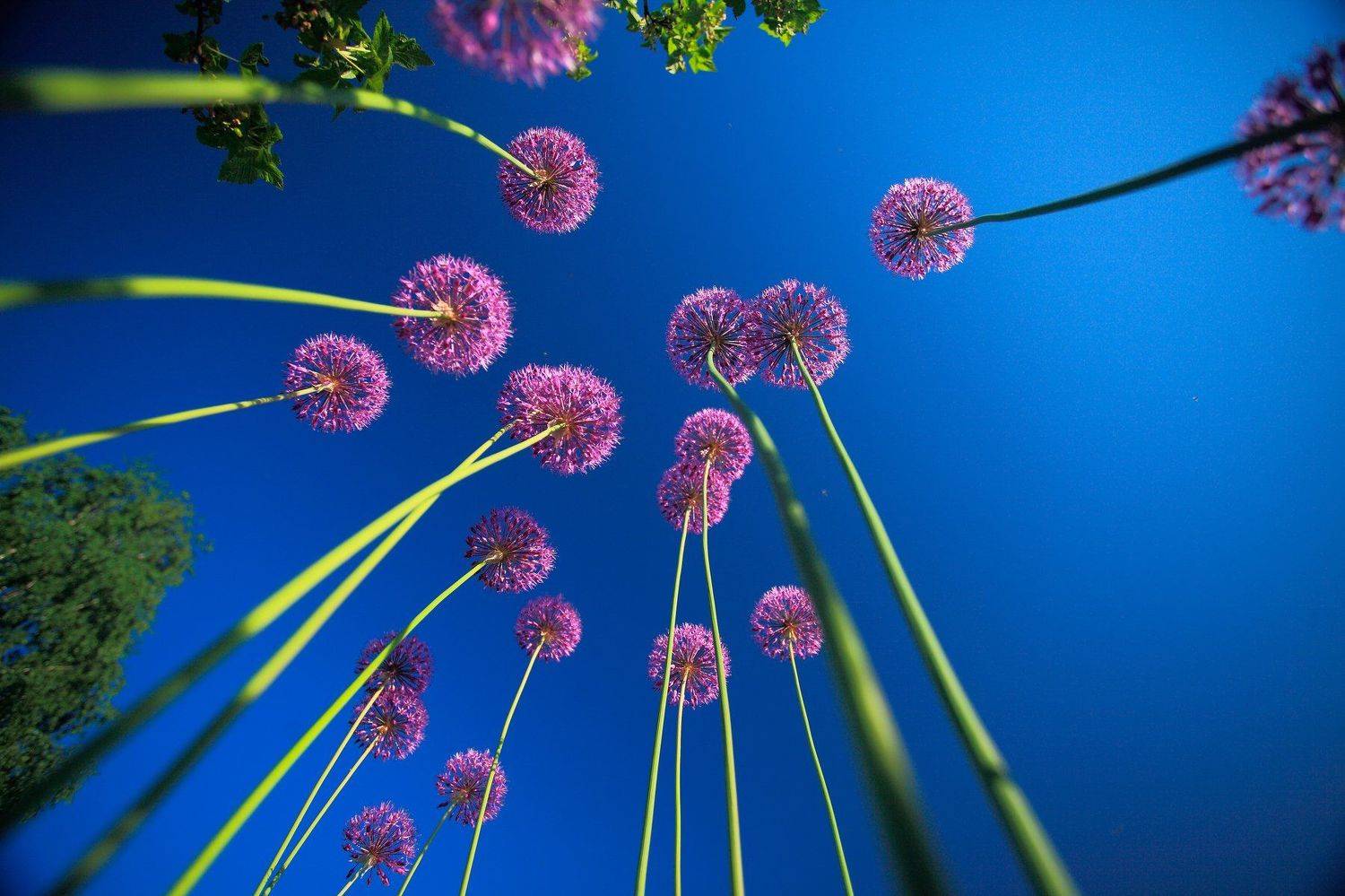 , Андрей Перешеин