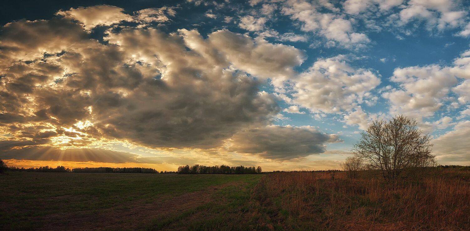 Nikon d600, Весна, Закат, Пейзаж, Природа, Алексей Никонов