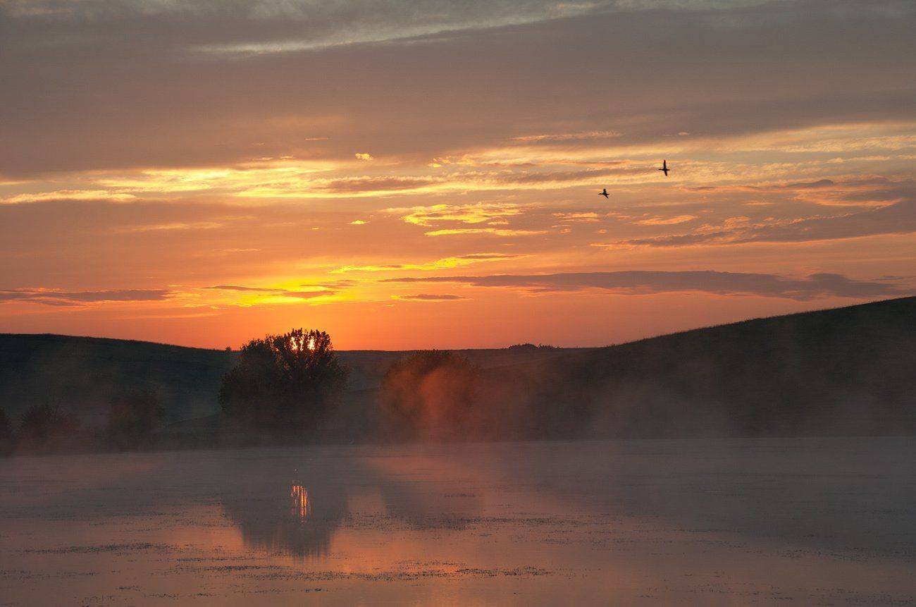 , Володимир Карчевський