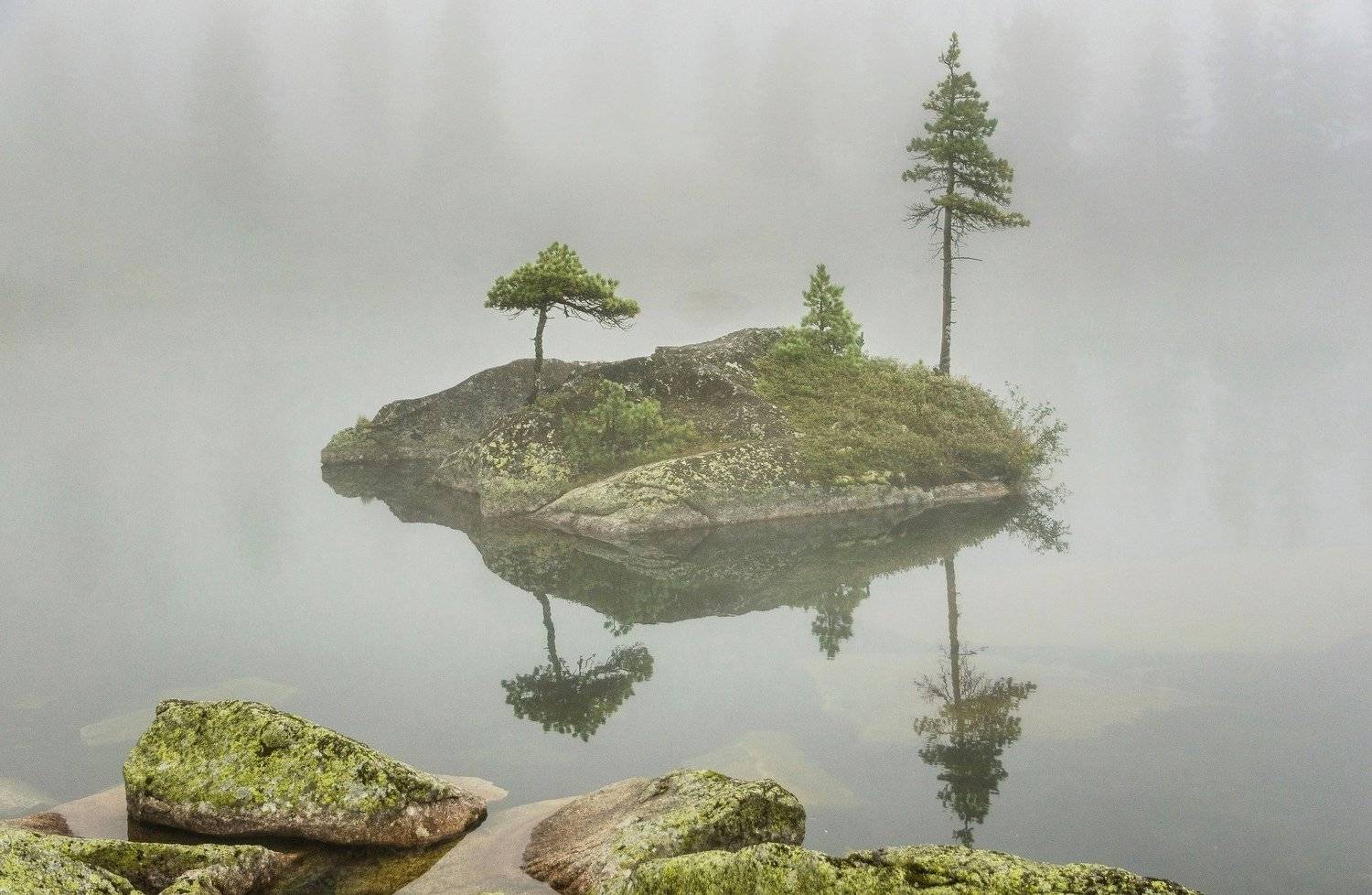 , Алексей Кретов