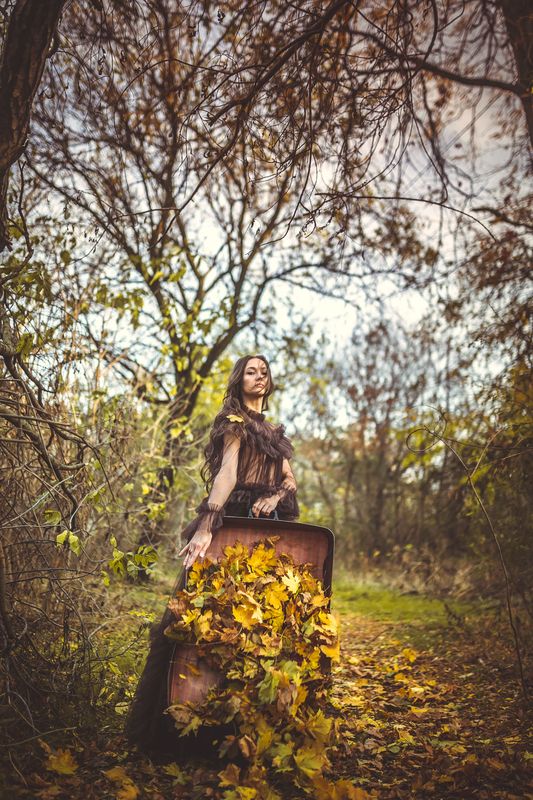 35mm, 4x5, 6x6, 6х6, 85mm, Art, Artnude, Ballerina, Ballet, Battur, Beautiful, Beauty, Canon, Canon 5D Mark III, Car, Color, Dance, Dress, Emotion, Eyes, Face, Flowers, Ganzo, Genre, GirlHair, Hero,LightLilac, Model, Mongol, Mongolia  фото превью