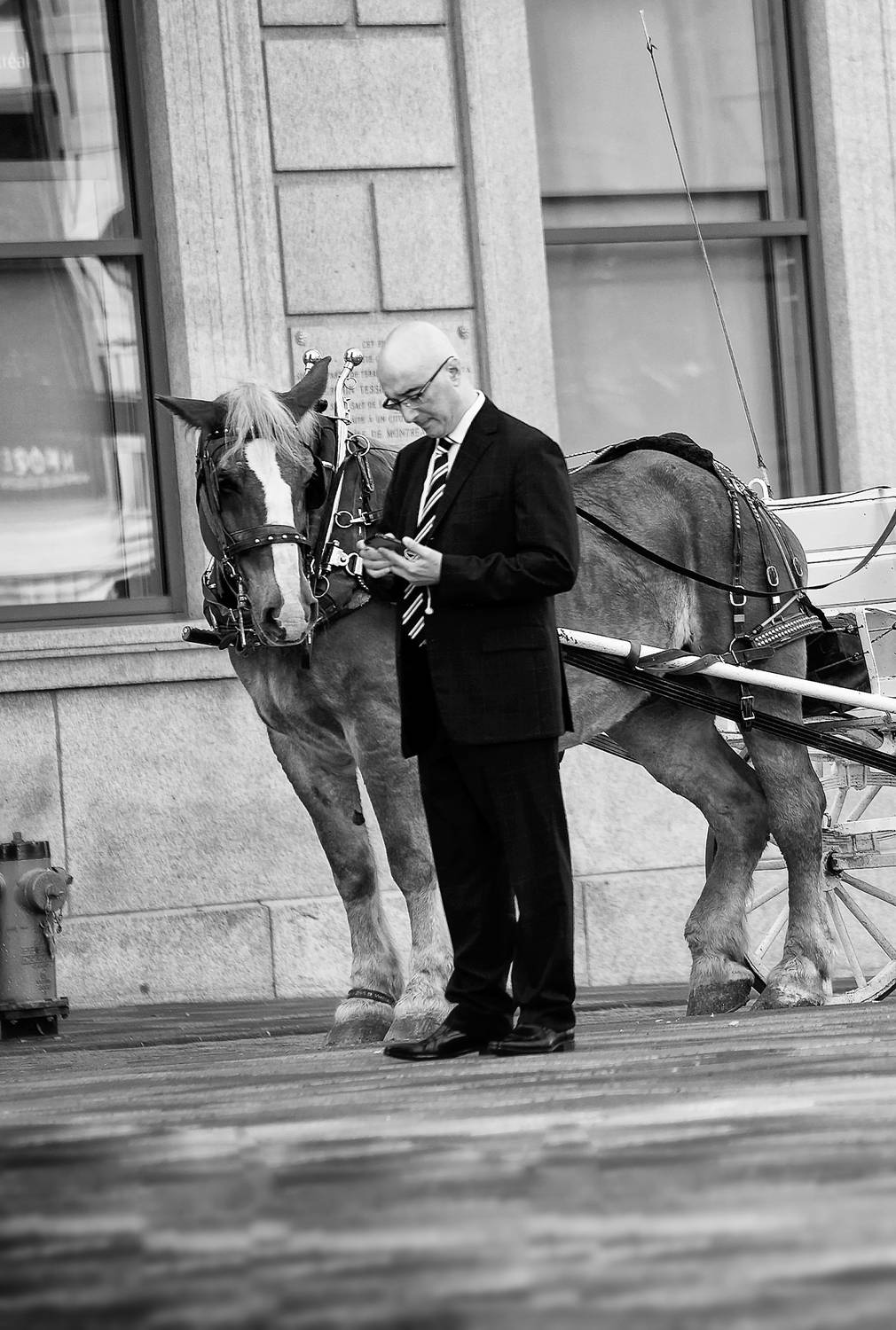 мужчина, лошадь, телефон, сообщение, Ходос Илья