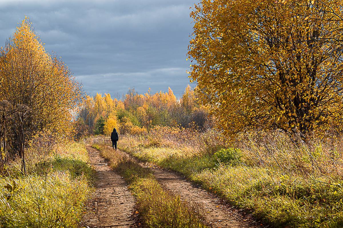 природа, пейзаж, осень, сентябрь, октябрь, лес, республика коми, сыктывкар, Mysov Ivan