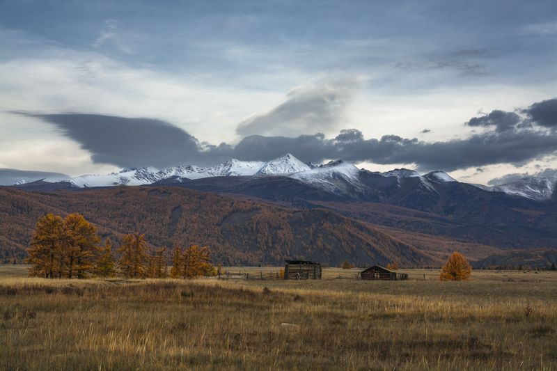 россия, горный алтай,осень, степь среди гор, утро Утром в степи фото превью