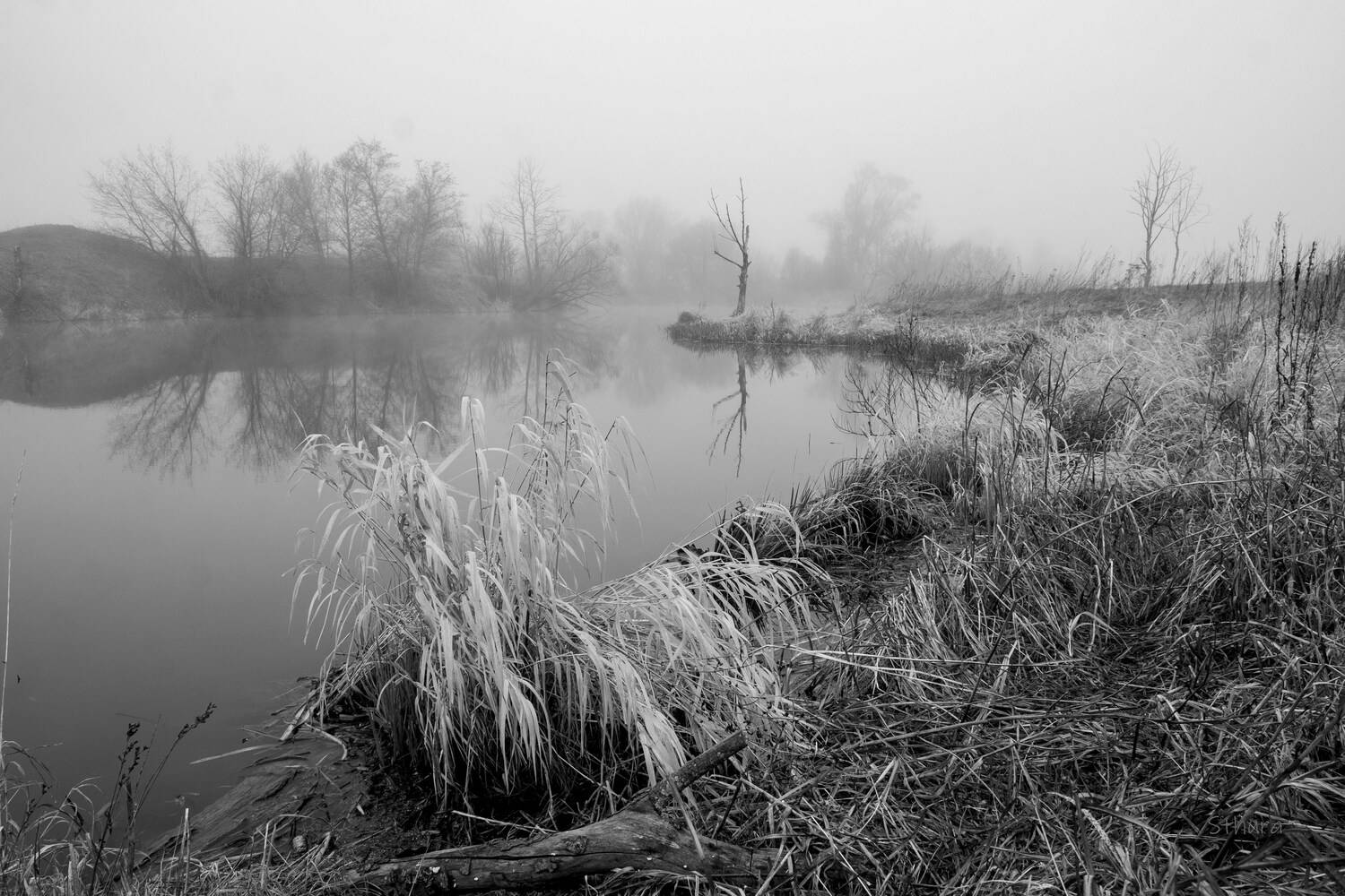 весна озеро туман природа пейзаж, Александр Строков
