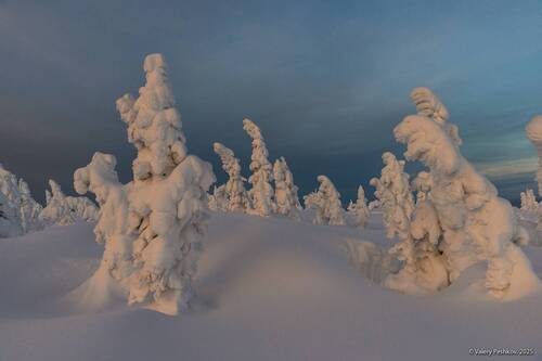 Утро красит нежным светом…)