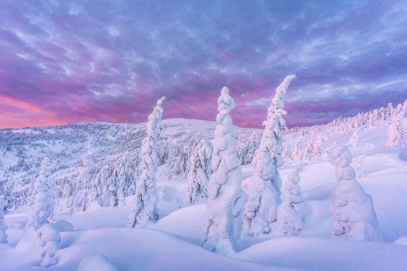 Один вечер на Аргыджеке фото превью