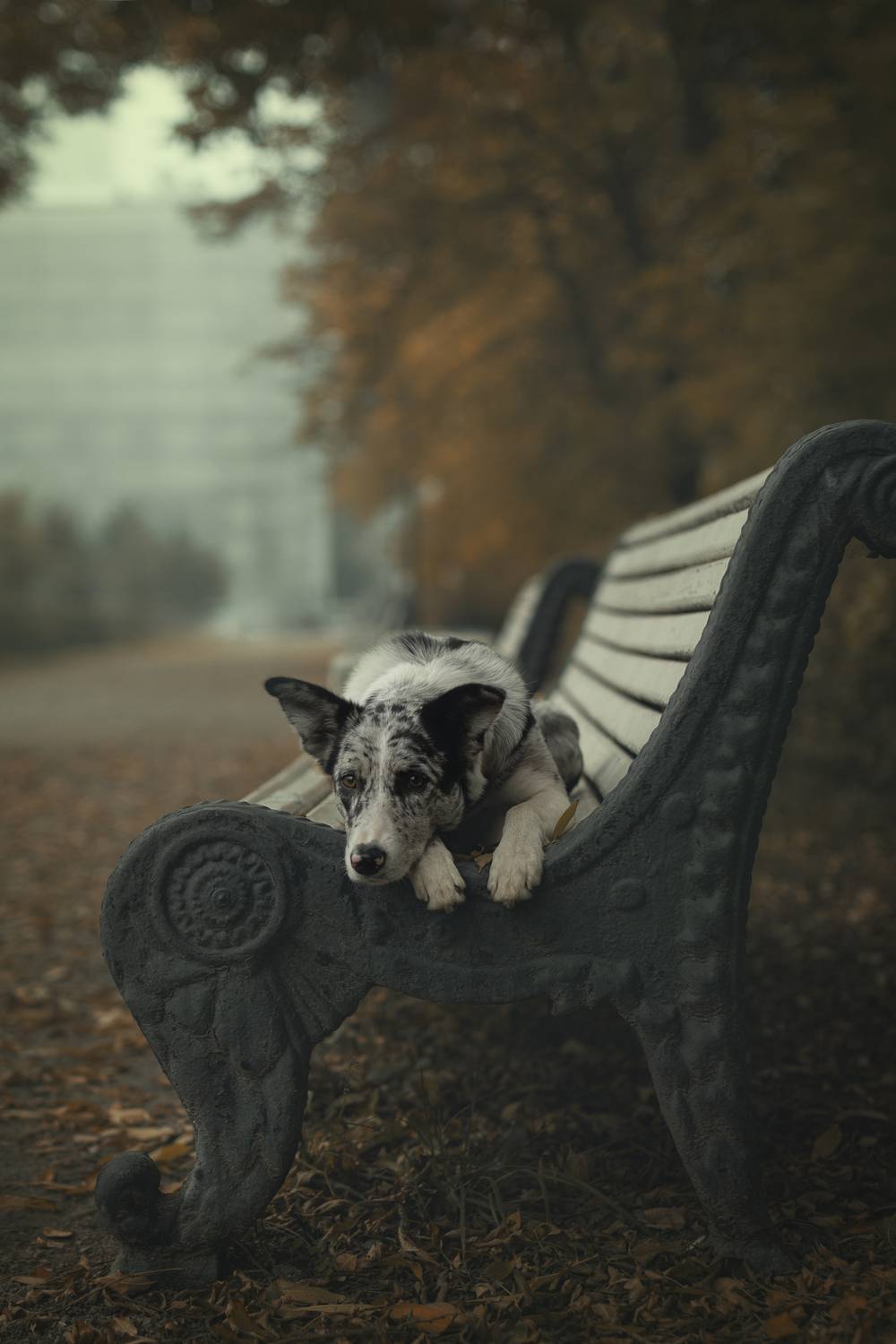 , Калинина Анна