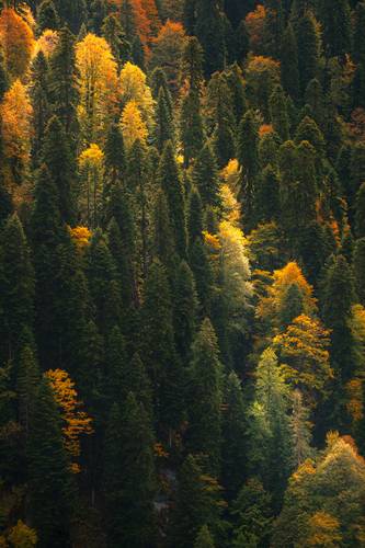 Не все то золото...