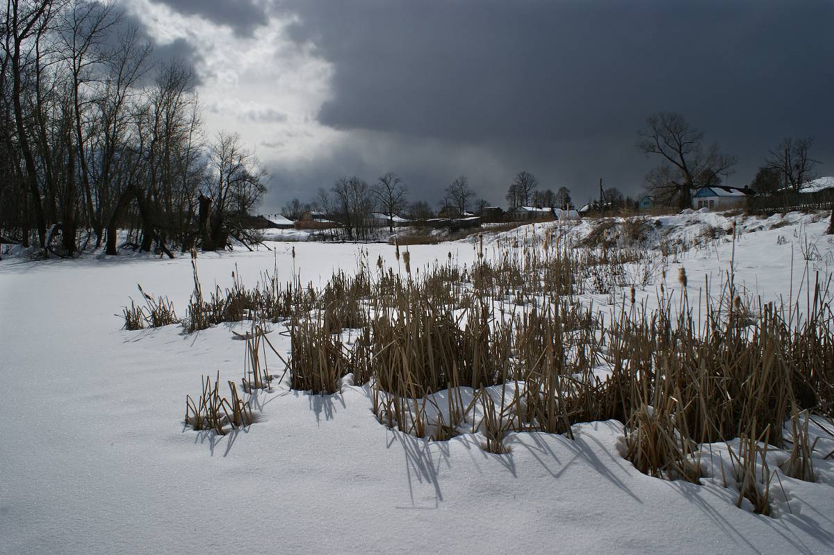 снег, зима, Колеснева Елена