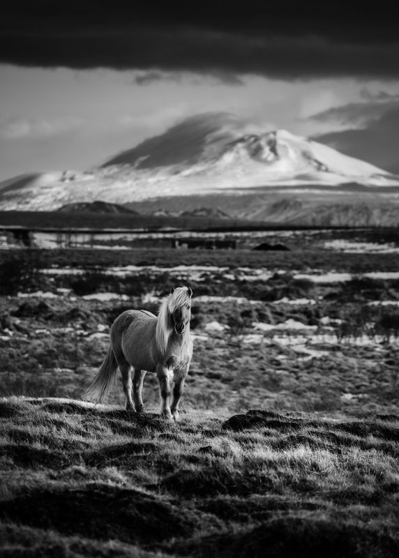 Iceland symbols фото превью