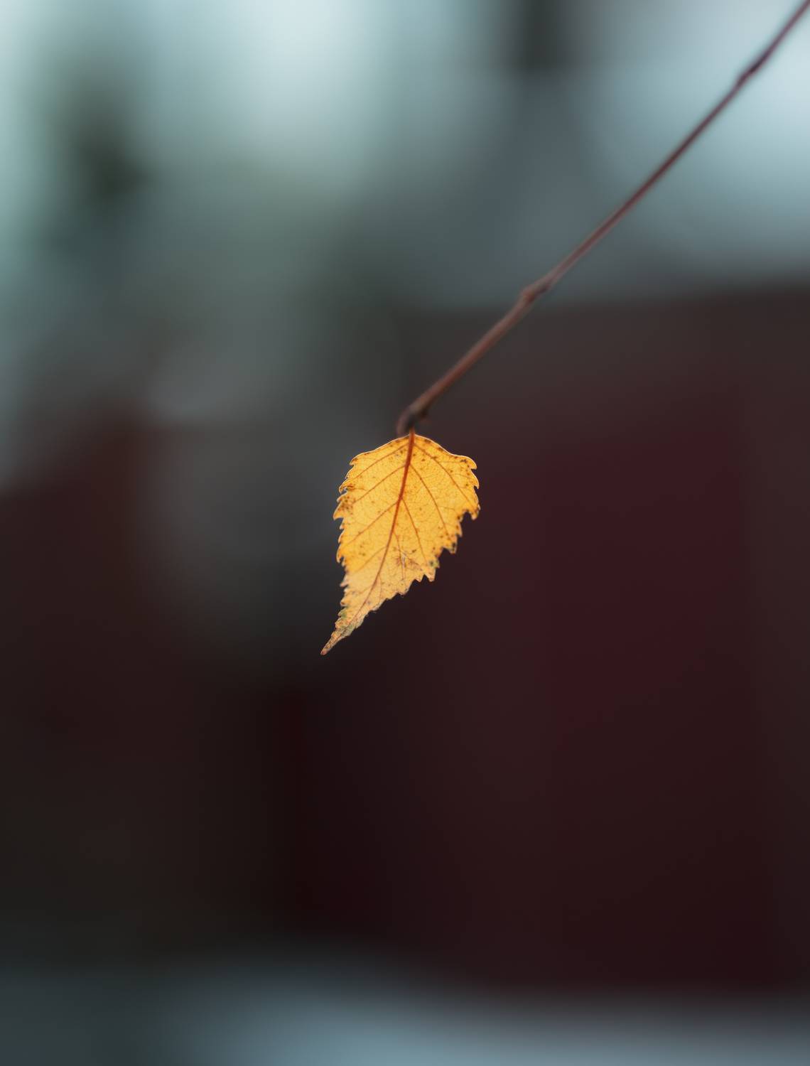 , Костыря Владимир