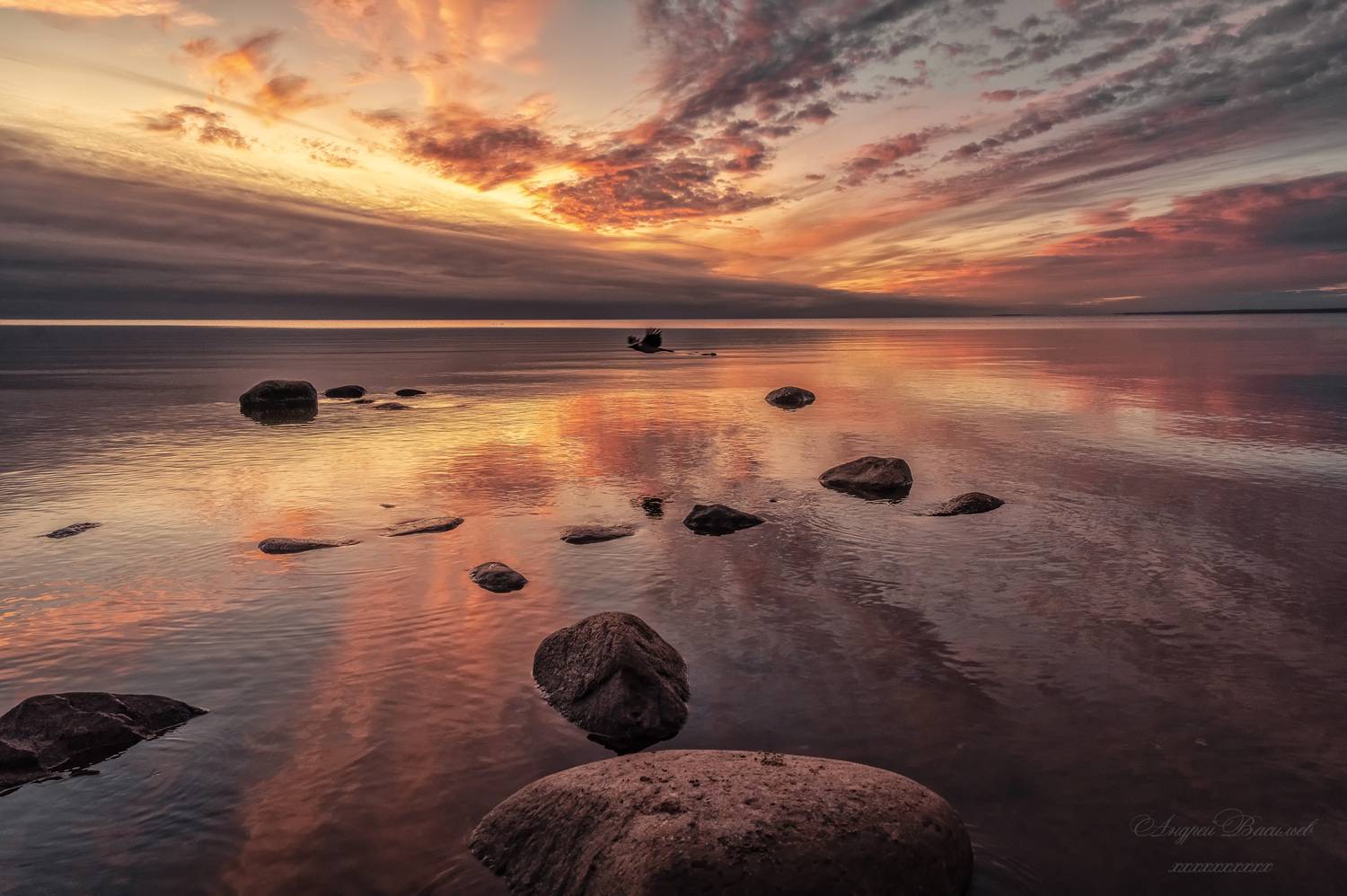 пейзаж, закат, Финский залив, Окрестности Сестрорецка, Васильев Андрей