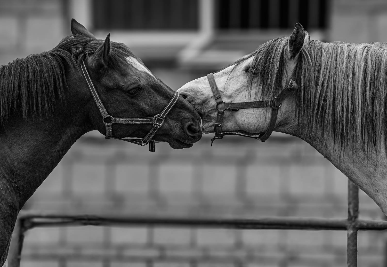 , Михаил Измайлов