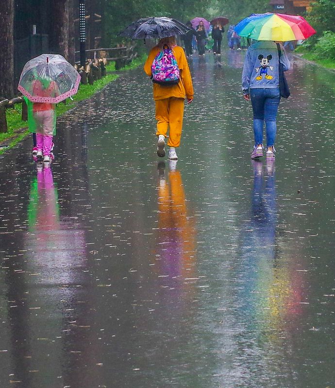 Дождь фото превью