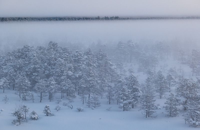 Мистическое утро/Mistic morning фото превью