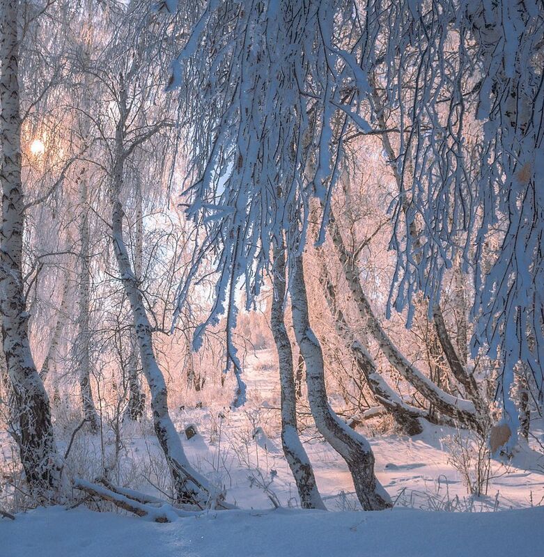 зимнее тепло фото превью