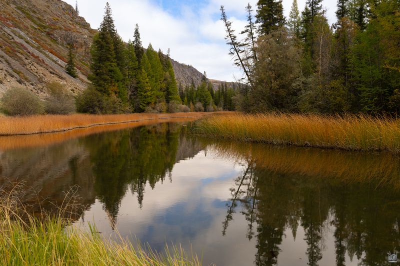 горный алтай Тихая река фото превью