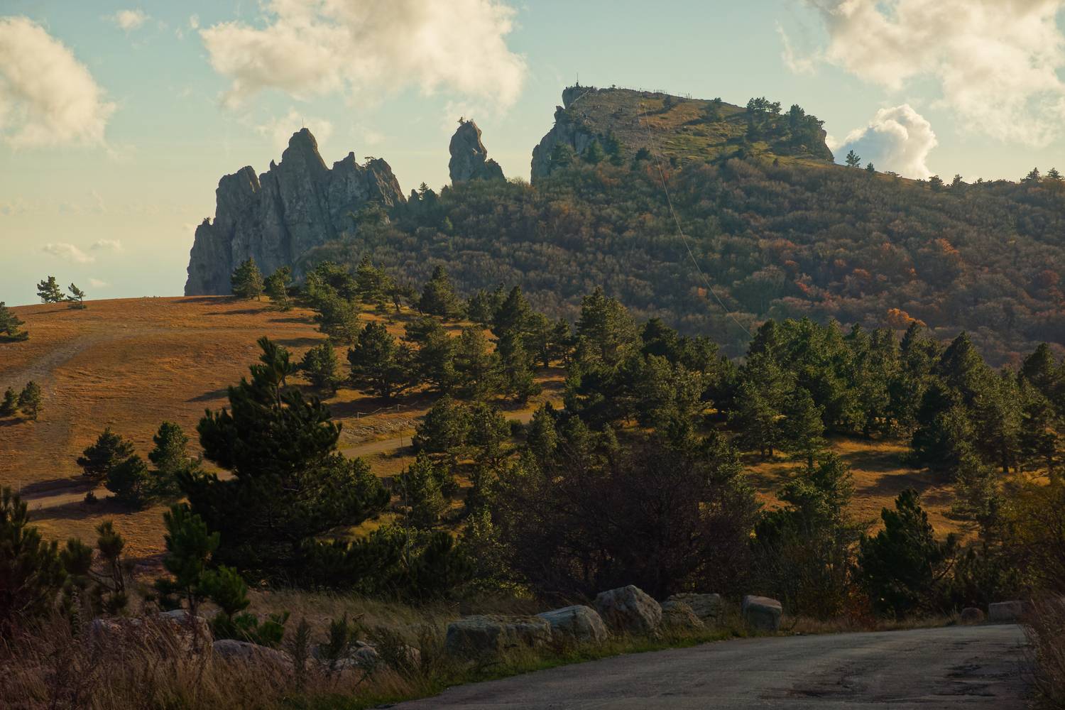 , Какоткин Роман