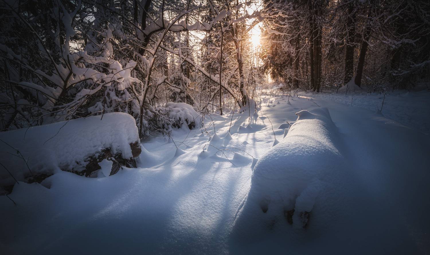 , Зеленько Дмитрий