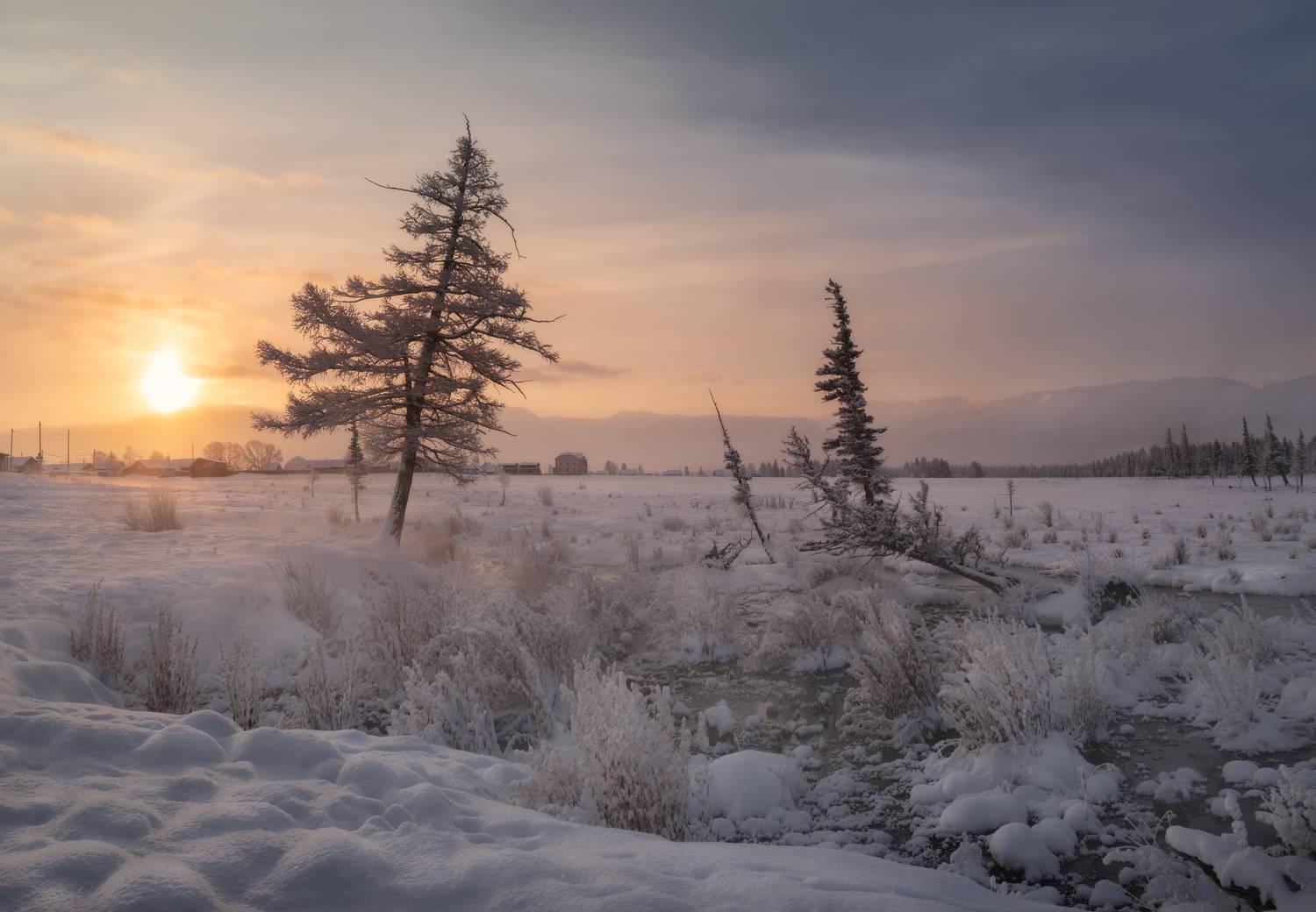 , Шевченко Николай