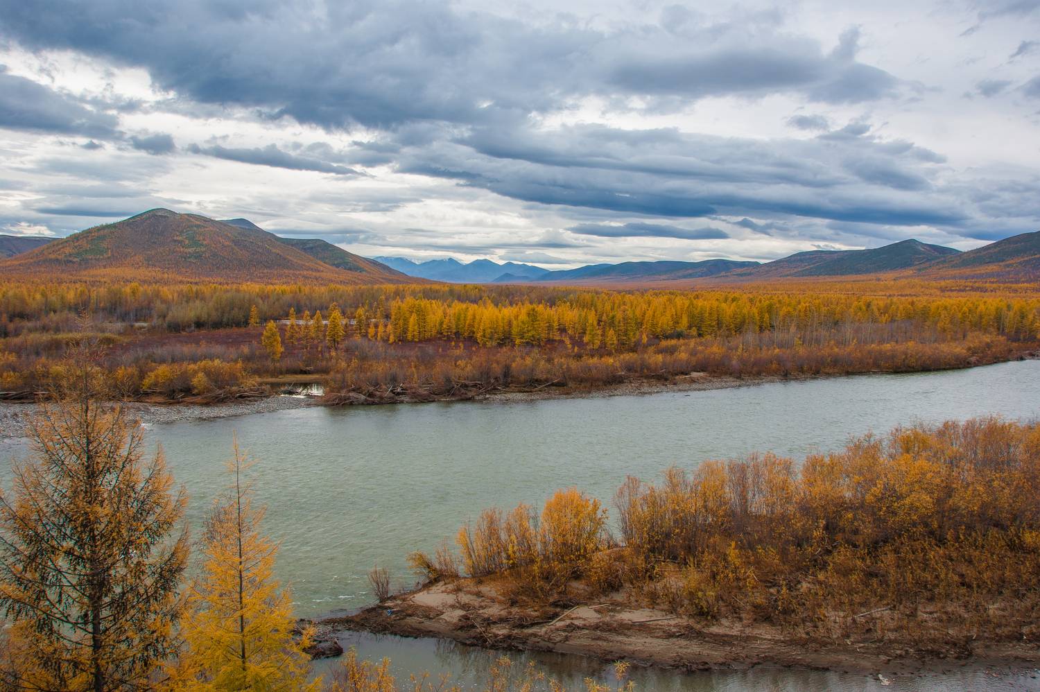 , Андрей Загребельный