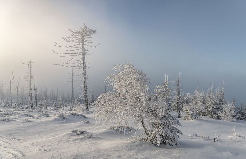 Zima w Beskidach фото превью