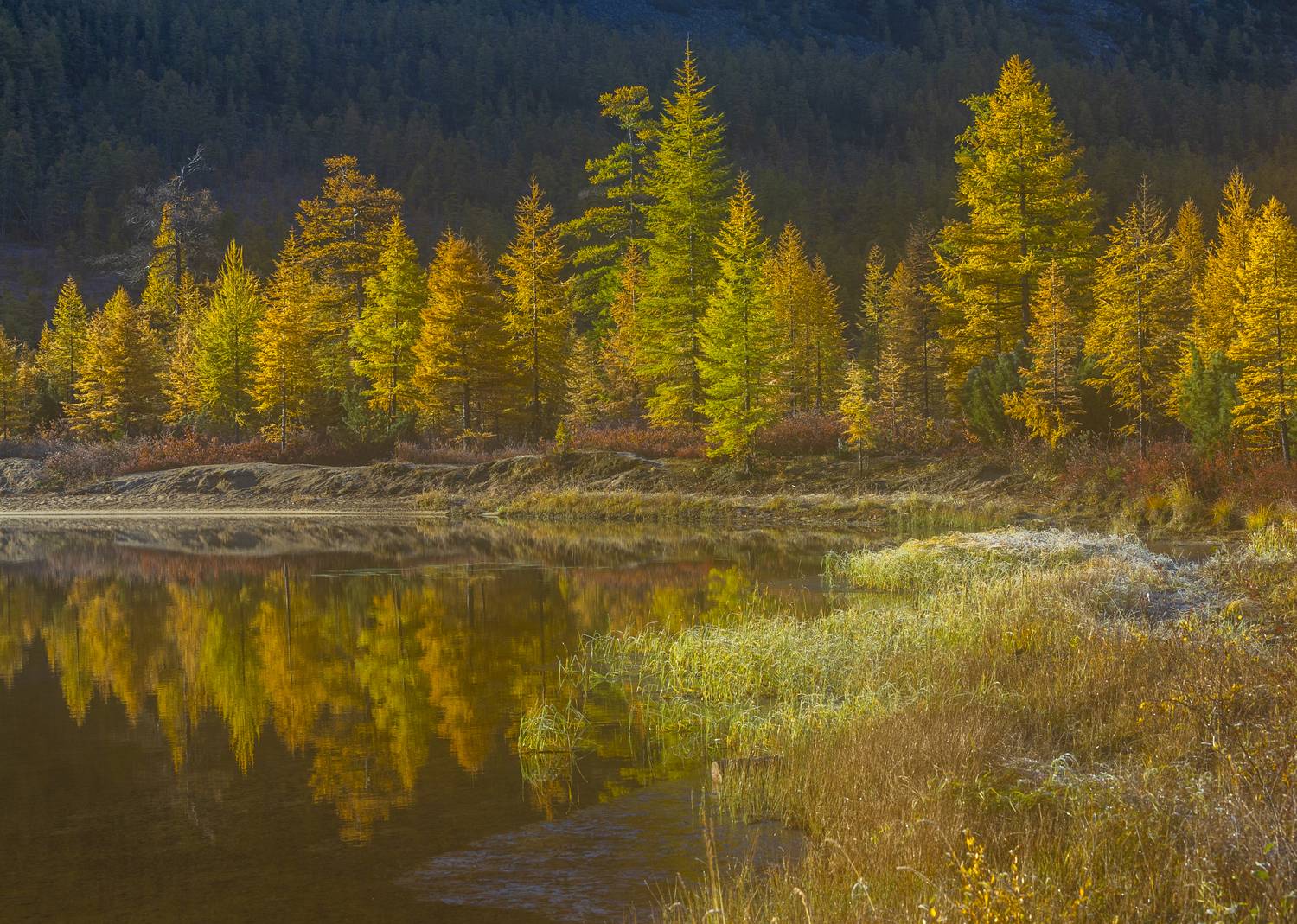 озеро Джека Лондона,магадан,озеро Невидимка,иней, Георгий Башкин