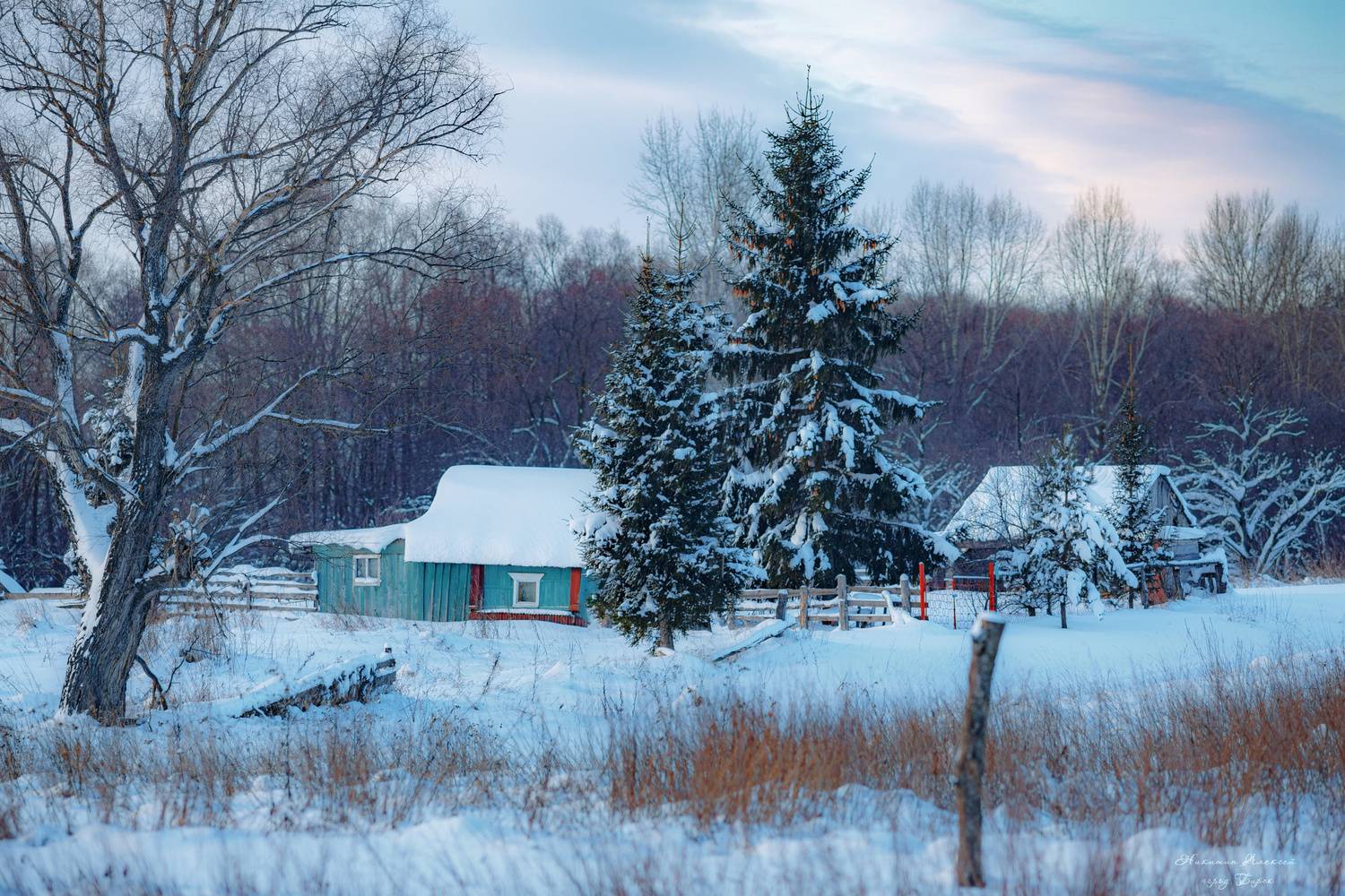 , Никитин Алексей