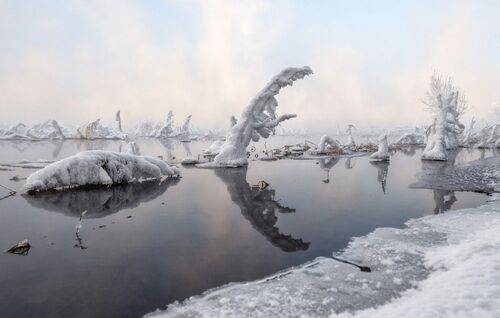 Речные жители на прогулке