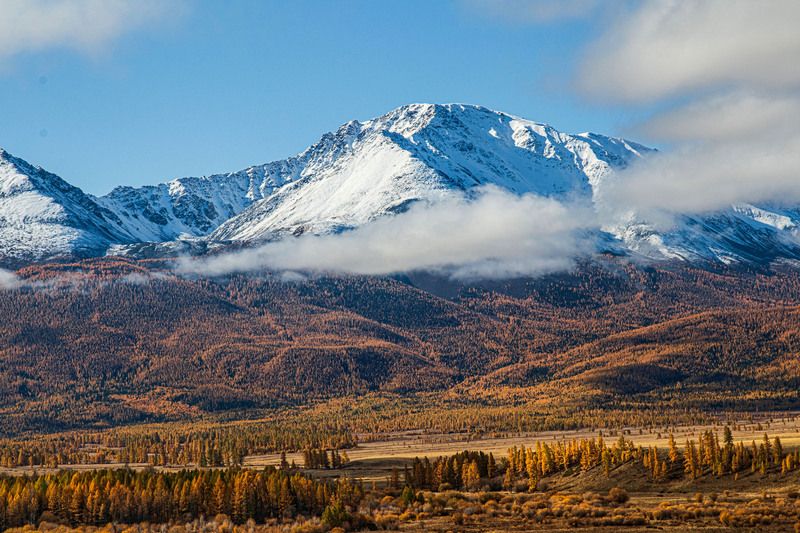 Осенний Алтай фото превью
