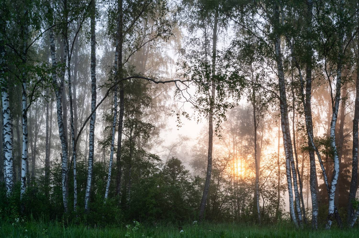 , Алексей Турчин