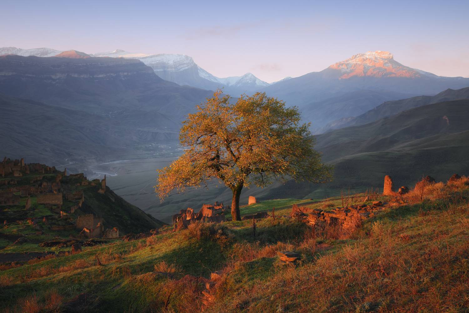 nature, mountain, outdoors, landscape, autumn, tree, meadow, grass, yellow, sunrise, green, caucasus, пейзаж, природа, горы, дерево, кавказ, южный дагестан, Андрей